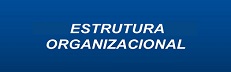 Estrutura Organizacional