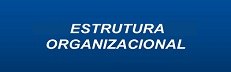 Estrutura Organizacional